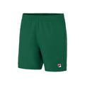 Leo Shorts Hommes - vert,