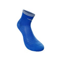 bleu_5727