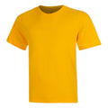 jaune doré_9302