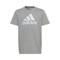 Big Logo T-shirt Garçons - gris clair, blanc