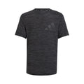 gris foncé_9384