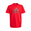 Big Logo T-shirt Garçons - rouge, noir