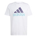 Big Logo Single Jersey T-shirt Hommes - blanc,
