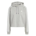 gris clair_5693