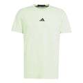 D4T T-shirt Hommes - vert clair,
