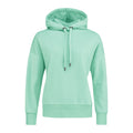 menthe_11858