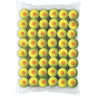 Starter Balls (Stage 2) Sac de 48
