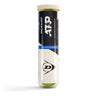 ATP Championship Tube de 4