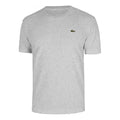 Core T-shirt Hommes - gris, vert