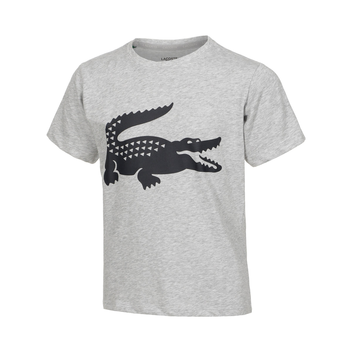 Lacoste Core T-shirt Garçons - gris, bleu foncé