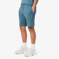 Shorts Hommes - bleu gris