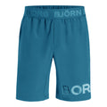Borg Shorts Hommes - bleu,