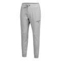 Logo Pantalon survêtement Hommes - gris clair,