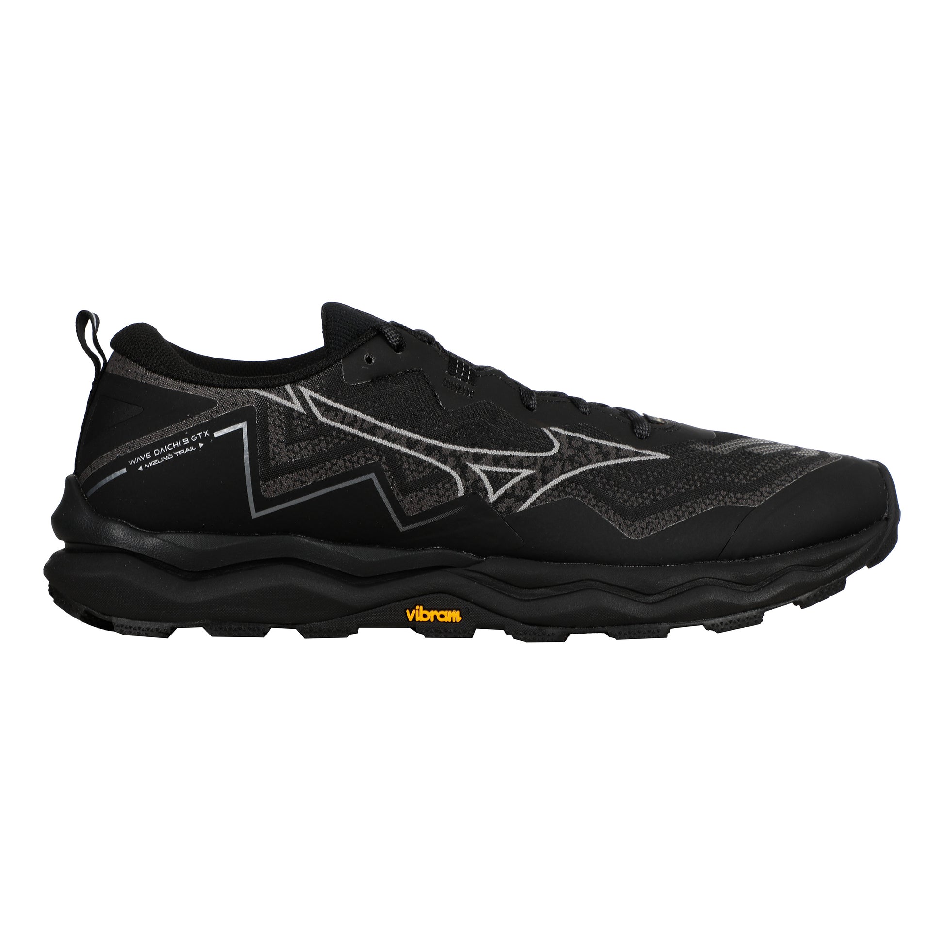 Mizuno Wave Daichi 9 GTX                   Chaussure trail Hommes-noir, gris