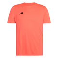 corail_5938