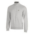 gris clair_5693