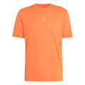 Terrex XPR  Maillot de course Hommes-orange