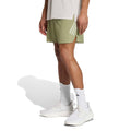 vert olive_6316