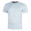 bleu gris_34456