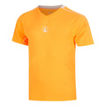 orange_5794