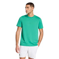 vert foncé_6015