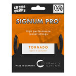 Cordages De Tennis Signum Pro Tornado 12m anthrazit