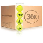 Balles De Tennis HEAD Cs 36er Box