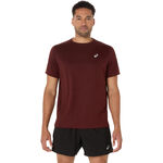V&ecirc;tements ASICS ASICS Core Maillot de course Hommes-rouge vin