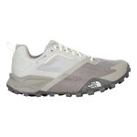 Chaussures De Running The North Face Offtrail TR GTX