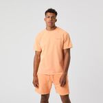 Vêtements Björn Borg Borg Oversized Washed T-Shirt