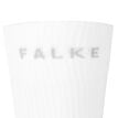Falke
