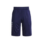 Vêtements Under Armour Prototype 2.0 Wdmk Shorts