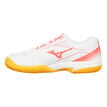 Mizuno