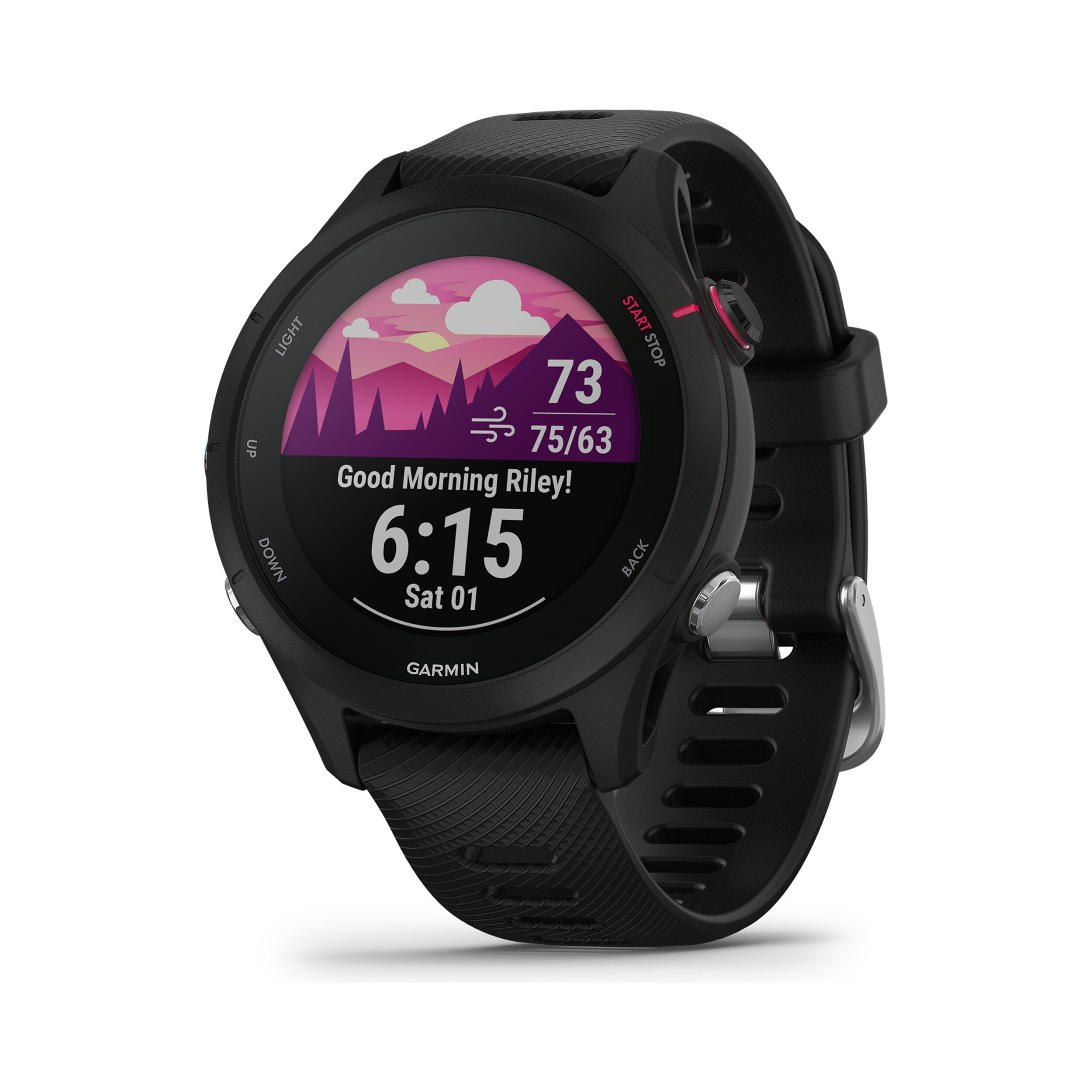 Garmin forerunner 245 music buy outlet