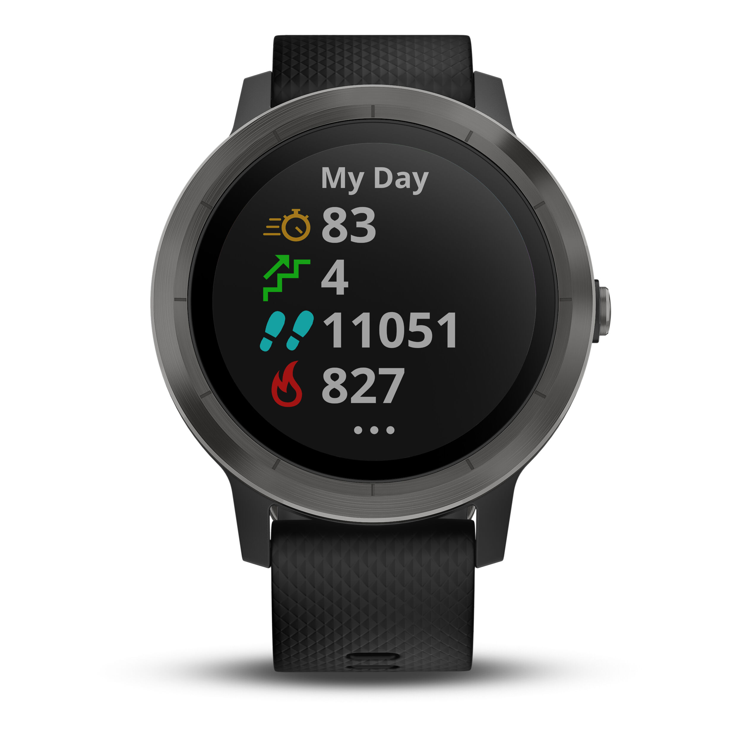 Garmin vivoactive 3 slate store