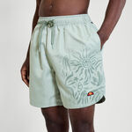 V&ecirc;tements Ellesse Ellesse Vaycay Shorts Hommes-Sauge