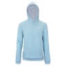 TEAM TERRY HOODIE SAGE Sweat &agrave; capuche Unisex-bleu clair