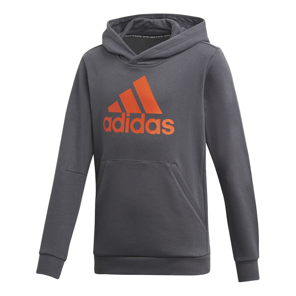 Best Of Sports Sweat À Capuche Garçons