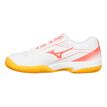 Mizuno