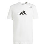 Vêtements adidas M TNS CAT G T