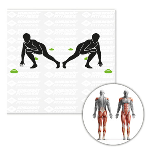 Schildkr&ouml;t Fitness