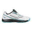 Mizuno