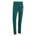 Vêtements adidas Terrex Xperior Light Pant