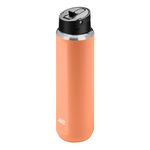 Accessoires Nike Nike Nike SS Recharge 24oz/709 Ml Gourde-Abricot, Noir