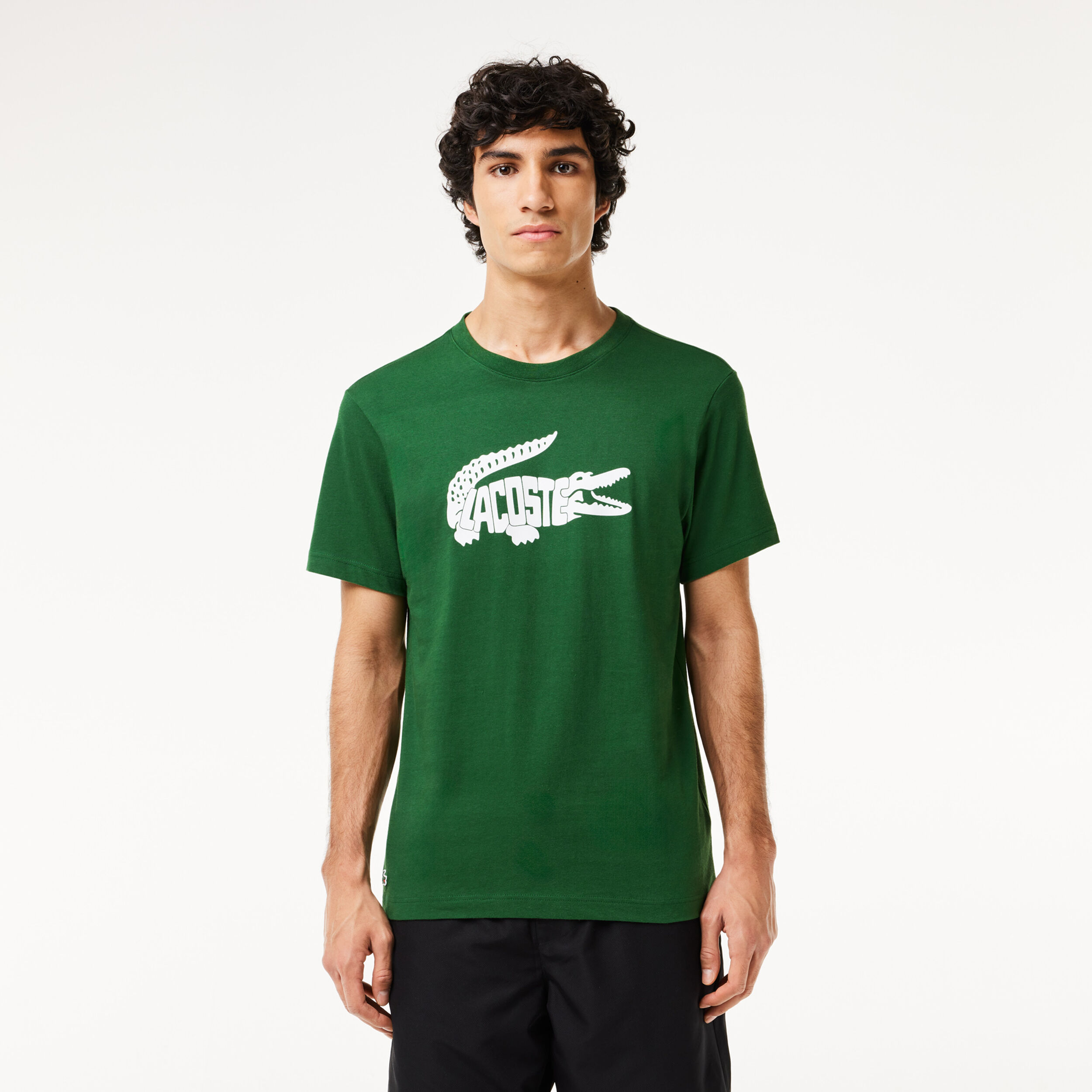 Tee shirt lacoste pas cher homme store