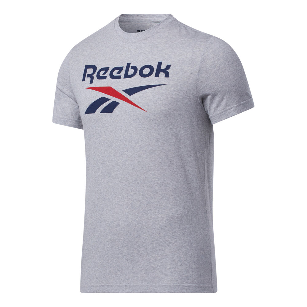 Reebok Ripped Big Logo T-shirt Hommes - Gris Clair , Bleu