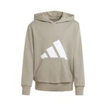 Vêtements adidas Essentials Hoody