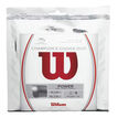 Wilson