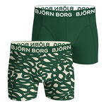 Vêtements Björn Borg Cotton Stretch Boxer 2P