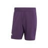 Ergo 7Inch Shorts Hommes - violet
